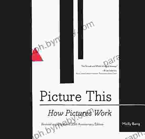 Picture This: How Pictures Work