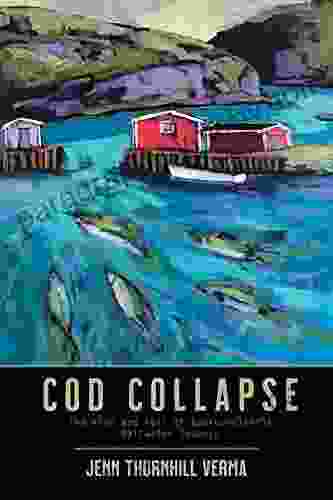 Cod Colappse: The Rise and Fall of Newfoundland s Saltwater Cowboys