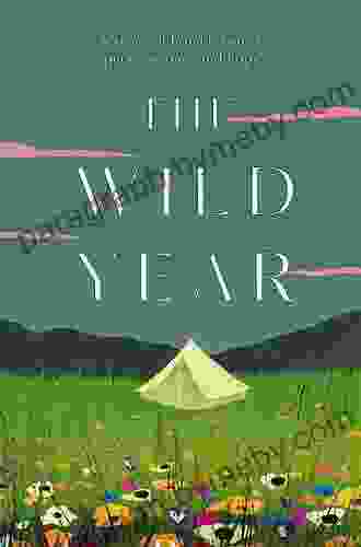 The Wild Year: a story of homelessness perseverance and hope