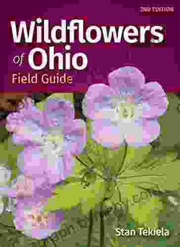 Wildflowers Of Ohio Field Guide (Wildflower Identification Guides)