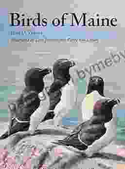 Birds Of Maine Jeffrey V Wells